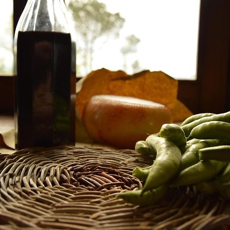 Agriturismo Riparossa Allerona 外观 照片