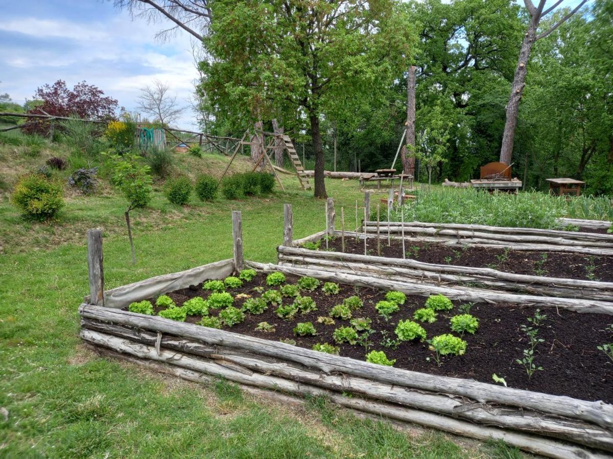 Agriturismo Riparossa Allerona 外观 照片