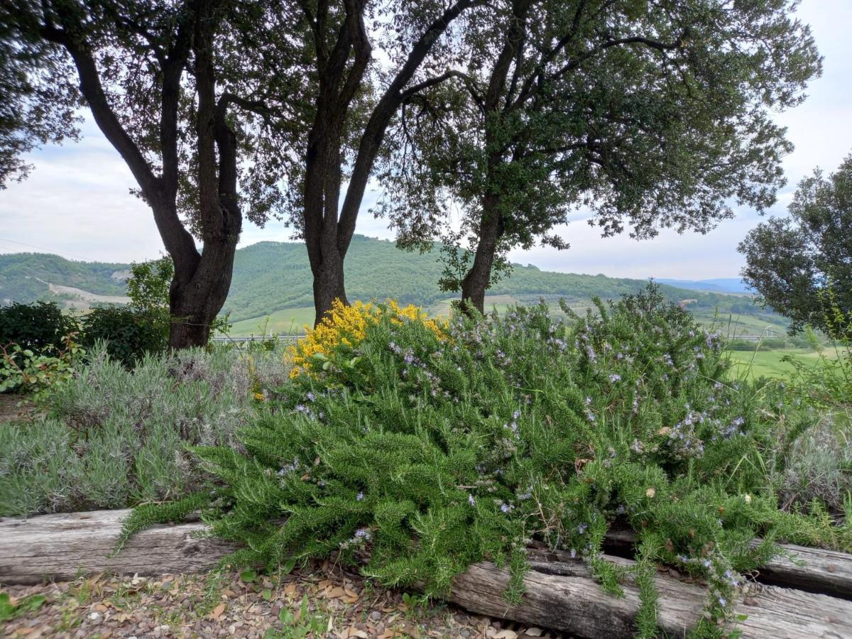 Agriturismo Riparossa Allerona 外观 照片