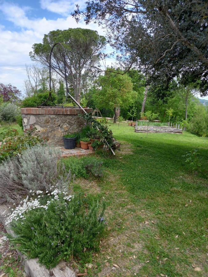 Agriturismo Riparossa Allerona 外观 照片