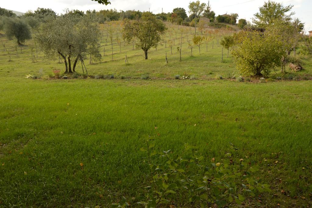 Agriturismo Riparossa Allerona 外观 照片