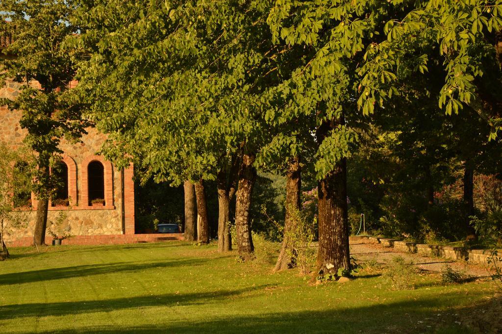 Agriturismo Riparossa Allerona 外观 照片