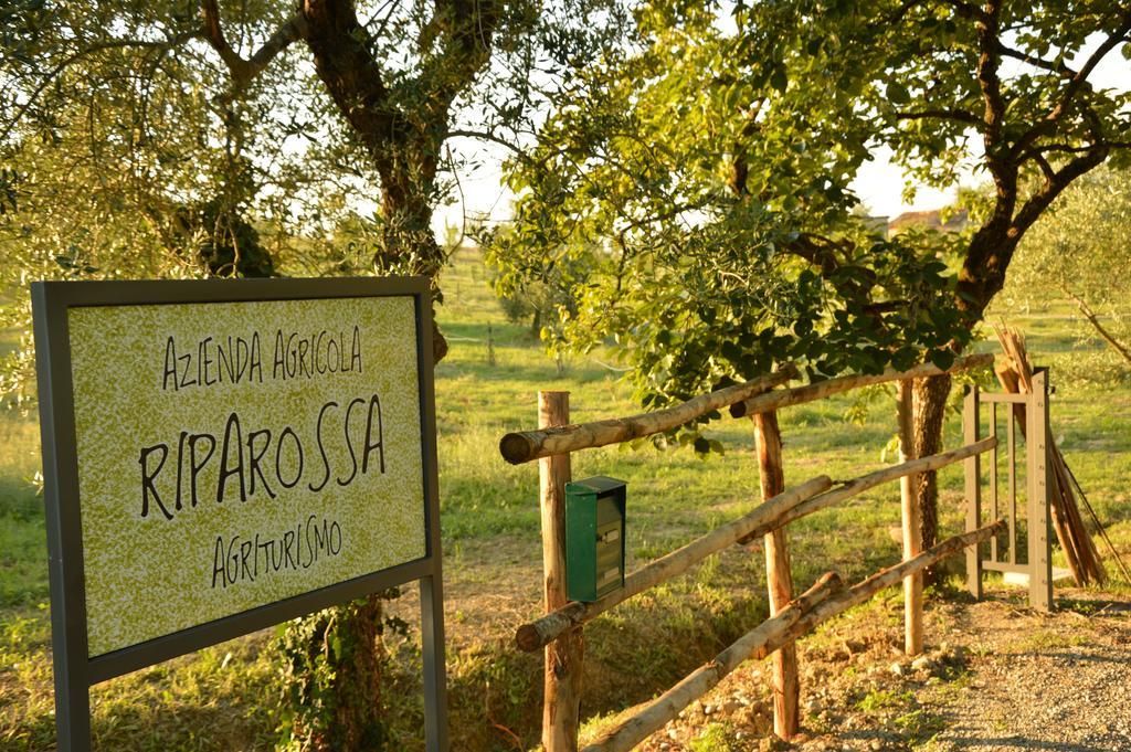 Agriturismo Riparossa Allerona 外观 照片