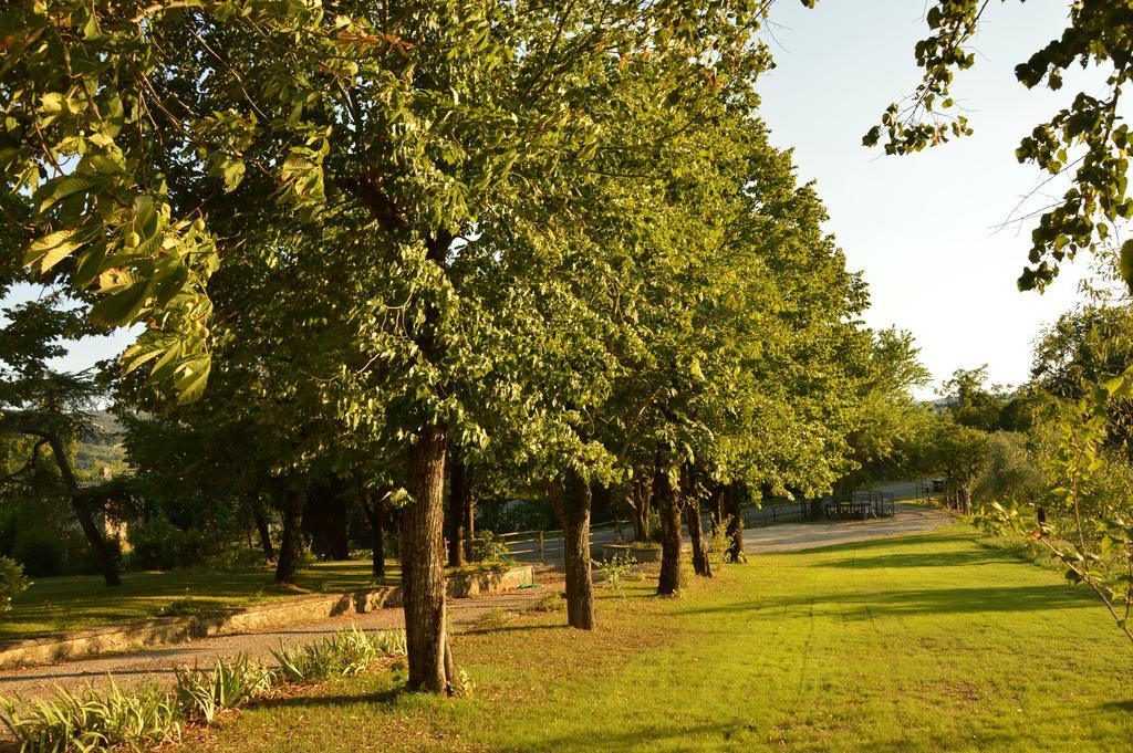 Agriturismo Riparossa Allerona 外观 照片
