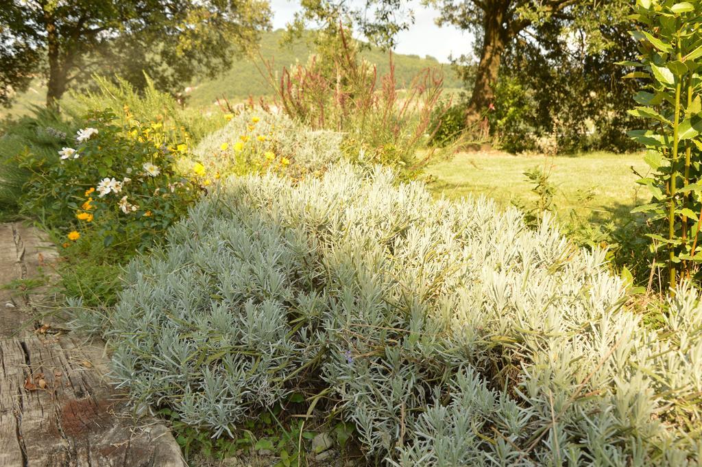 Agriturismo Riparossa Allerona 外观 照片