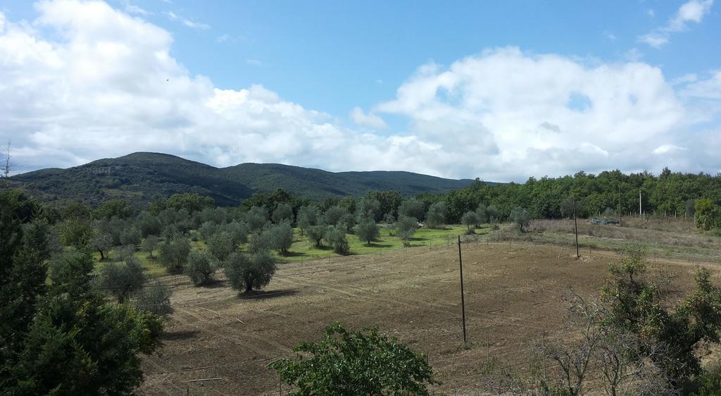 Agriturismo Riparossa Allerona 外观 照片