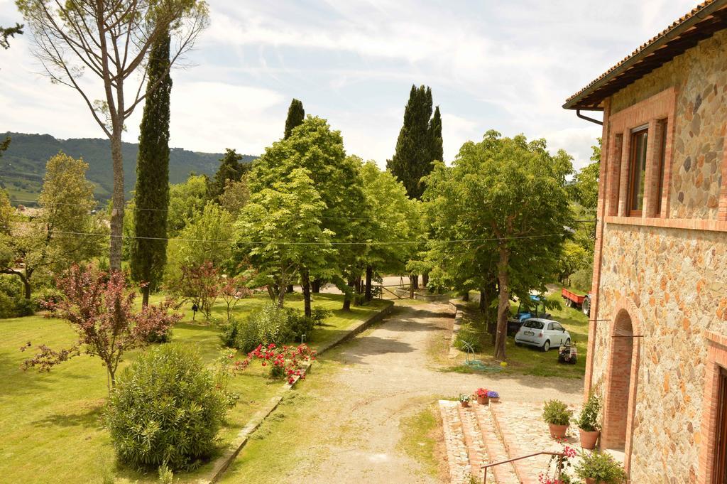 Agriturismo Riparossa Allerona 外观 照片