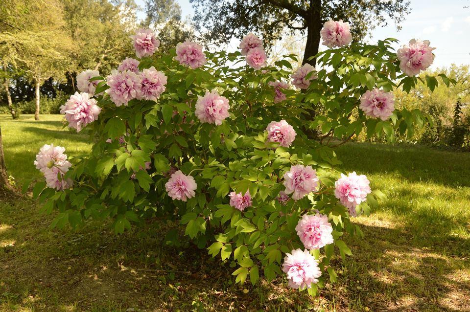 Agriturismo Riparossa Allerona 外观 照片