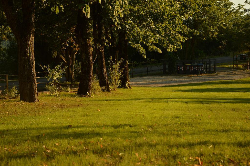 Agriturismo Riparossa Allerona 外观 照片