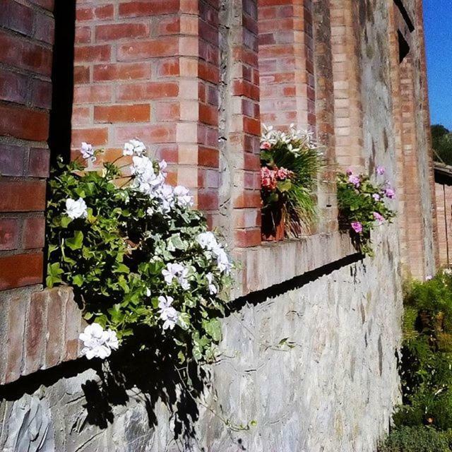 Agriturismo Riparossa Allerona 外观 照片