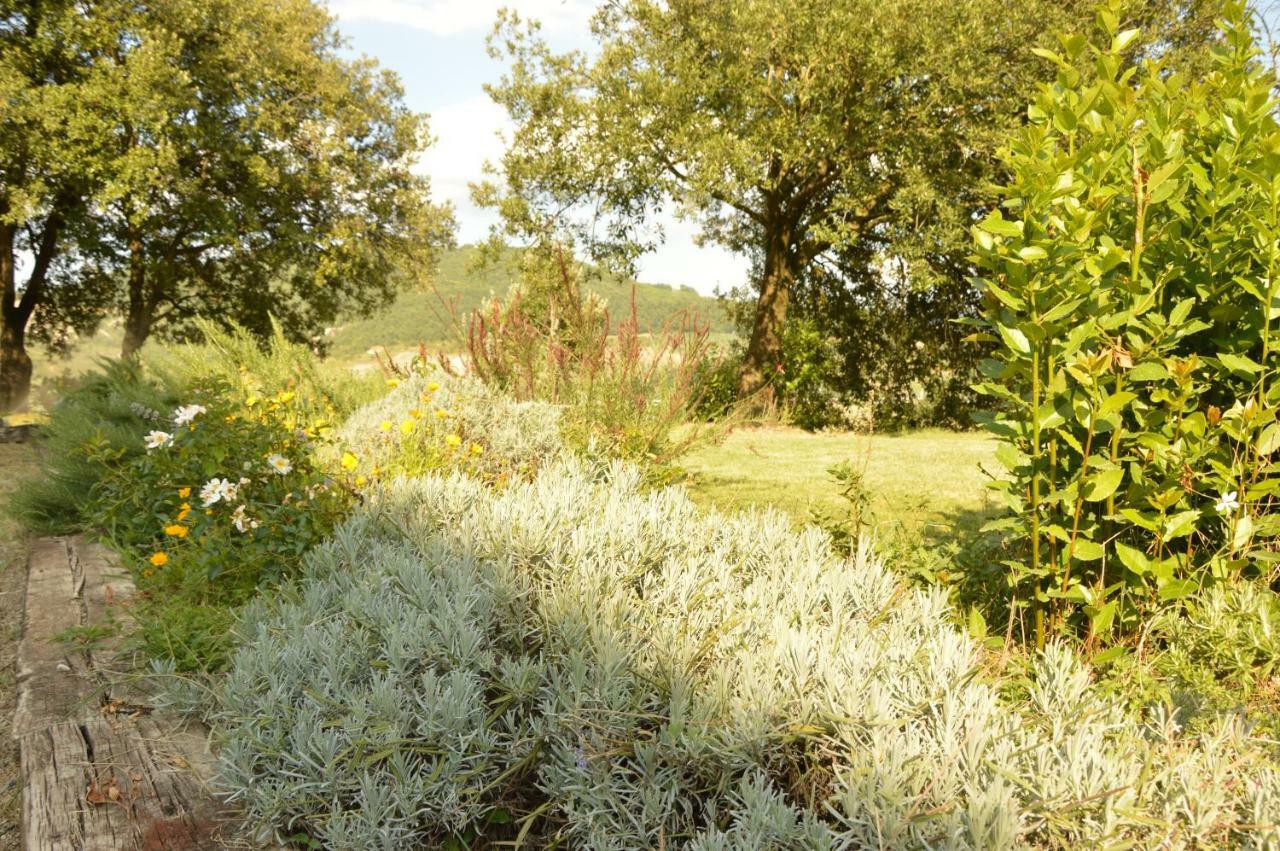 Agriturismo Riparossa Allerona 外观 照片