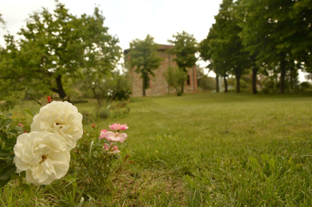 Agriturismo Riparossa Allerona 外观 照片