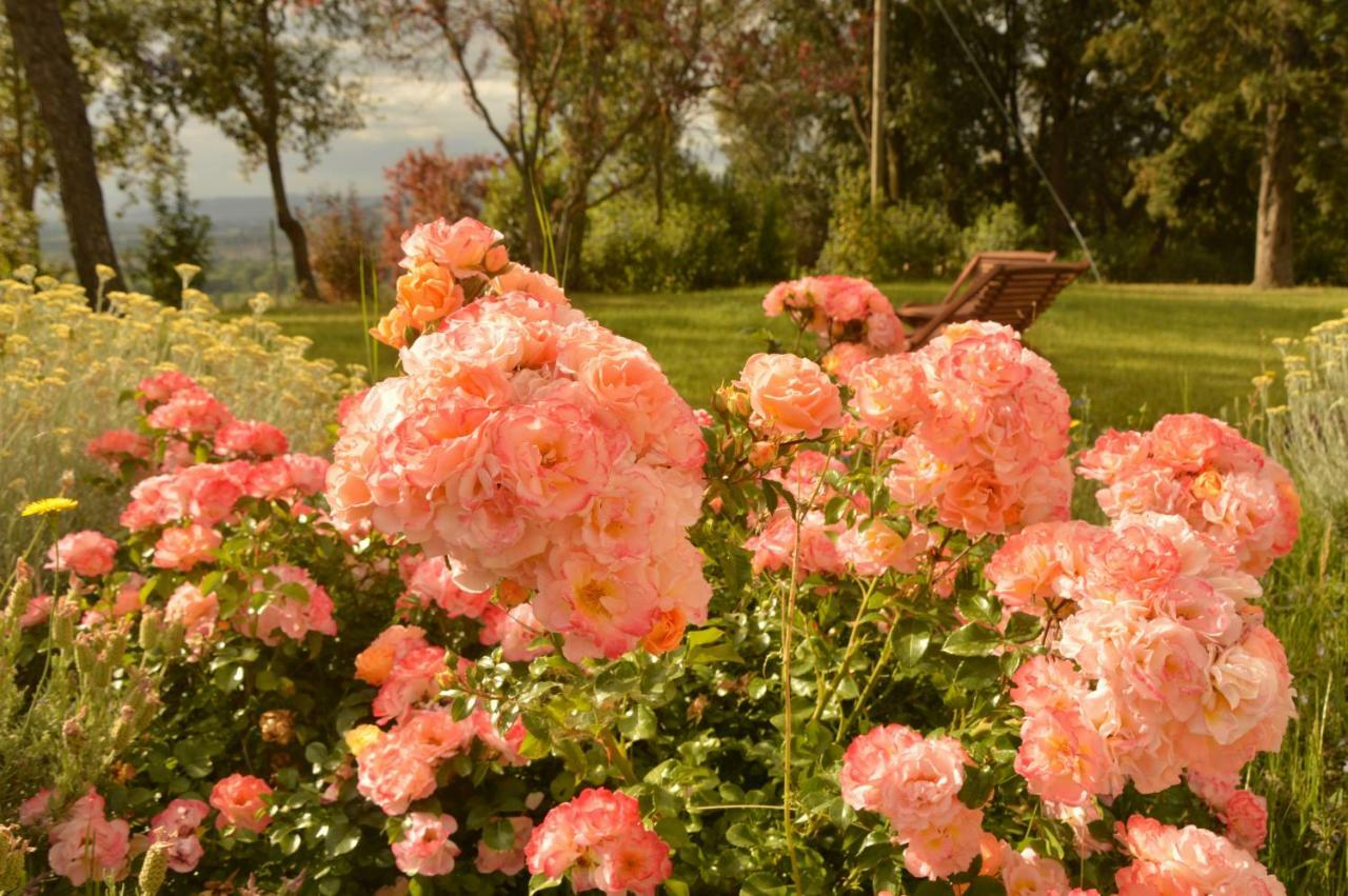 Agriturismo Riparossa Allerona 外观 照片